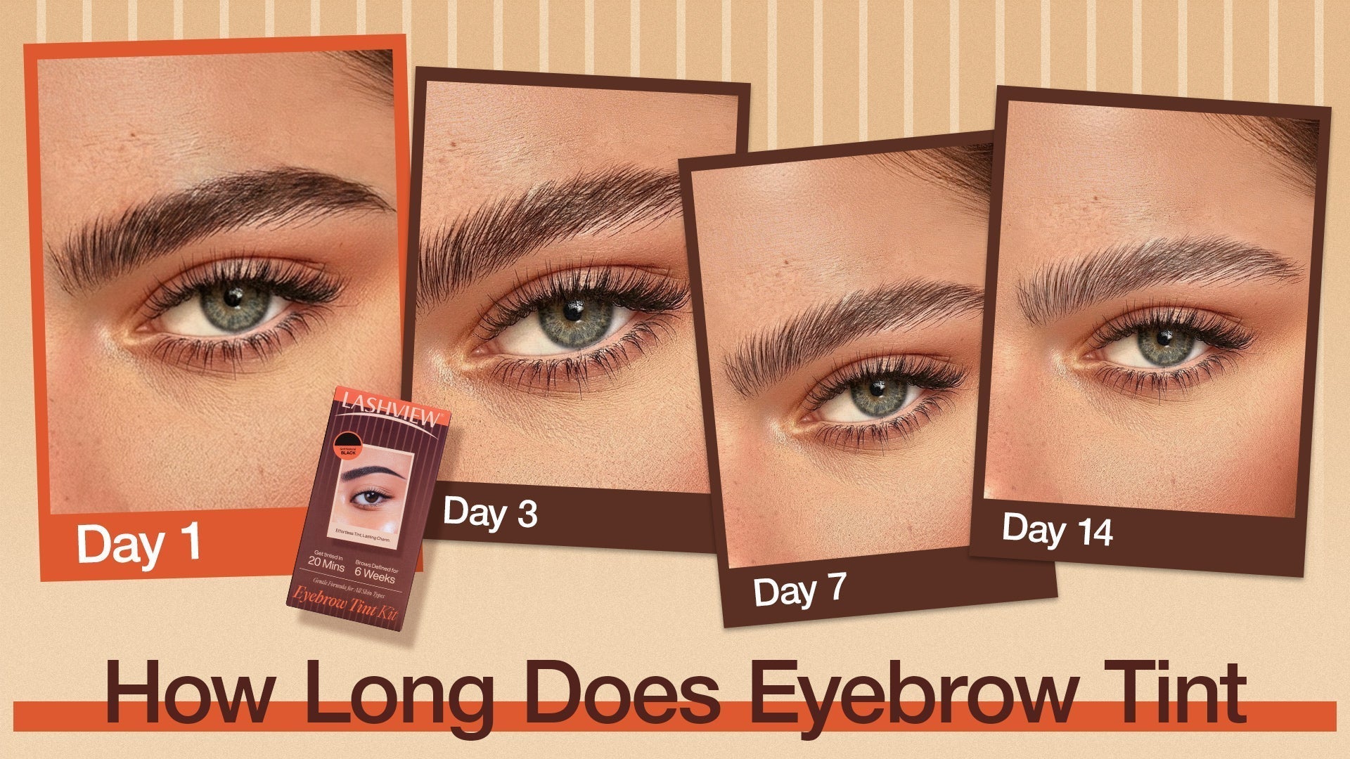 How Long Does Eyebrow Tint Last? Skin Stain vs Brow Hair Explained