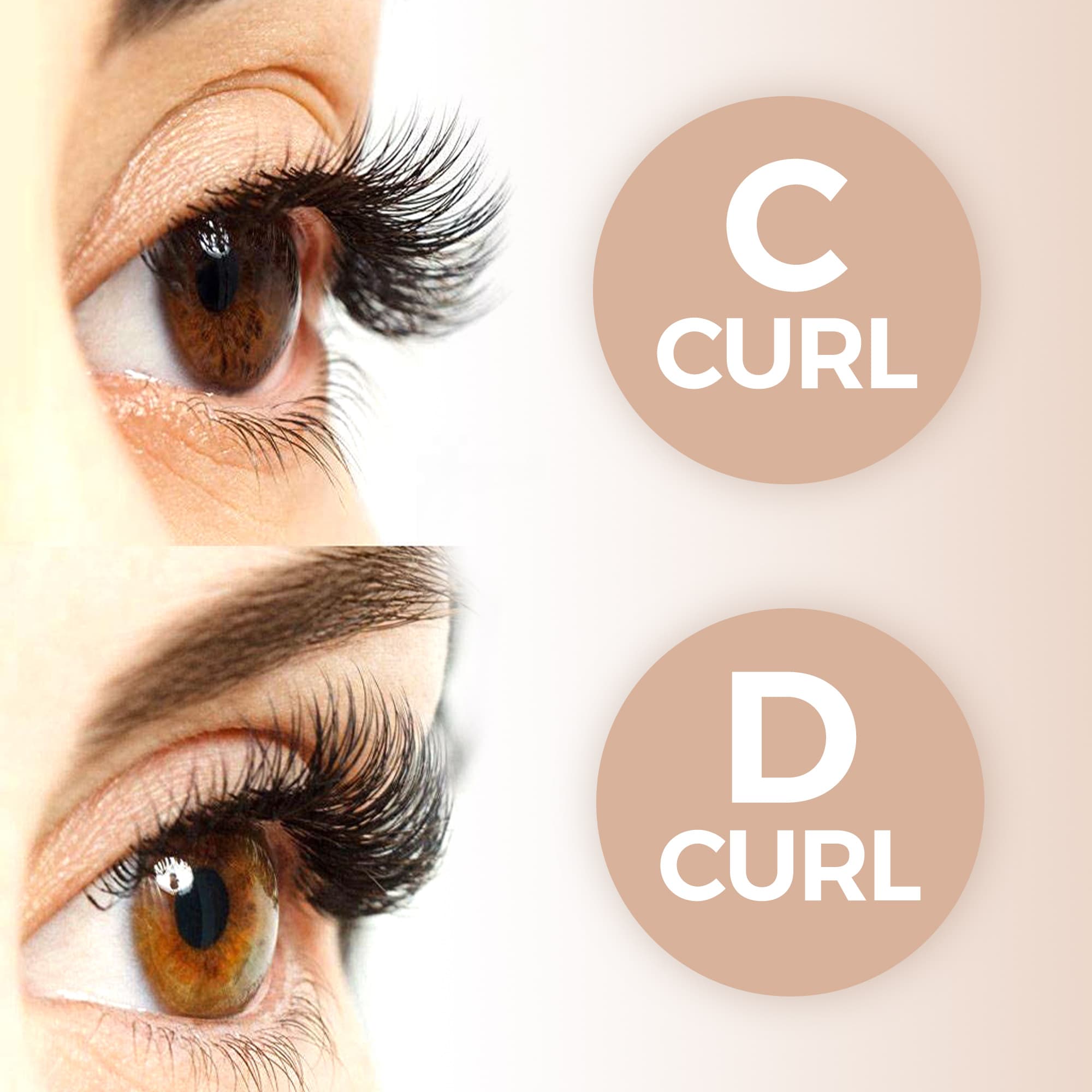 Premade Lash Fans 0.05mm