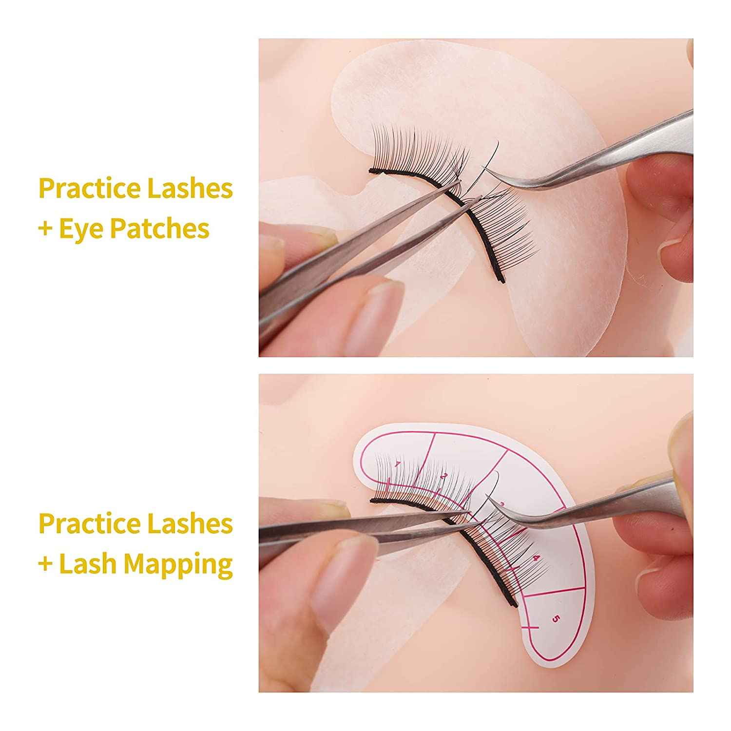 Lashview Eyelash Extension Starter Kit Pro All-in-one Kit for Lash Technicians