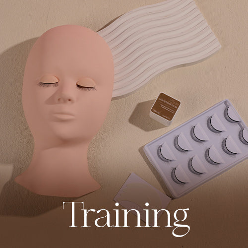 Lashview Training
